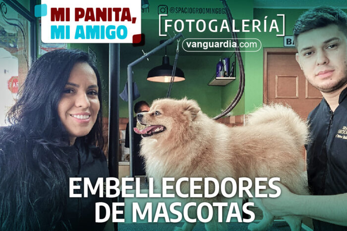 Los emprendedores venezolanos que embellecen las mascotas de los santandereanos